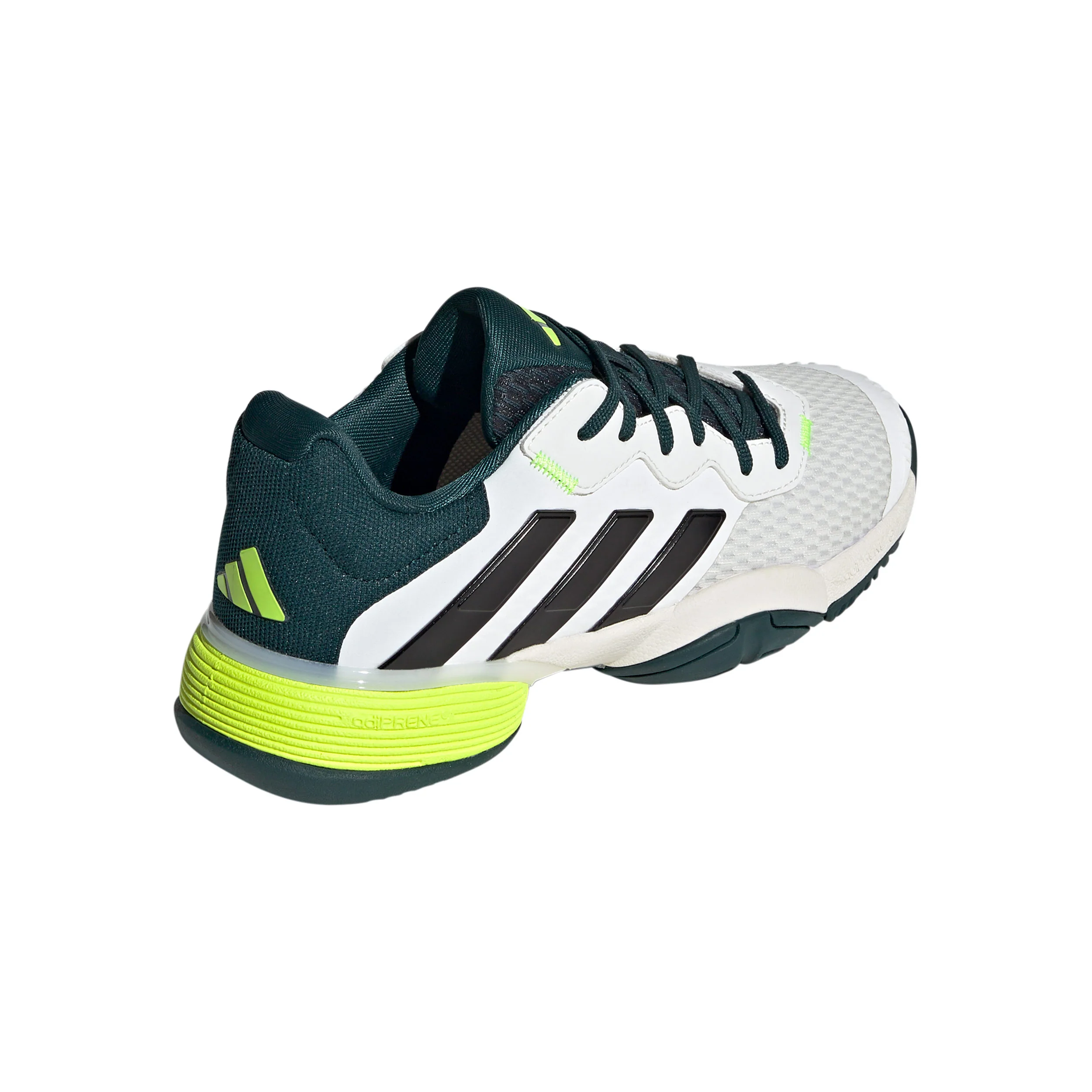 Barricade Allcourtschuh Kinder - creme, dunkelgrün - Image 5