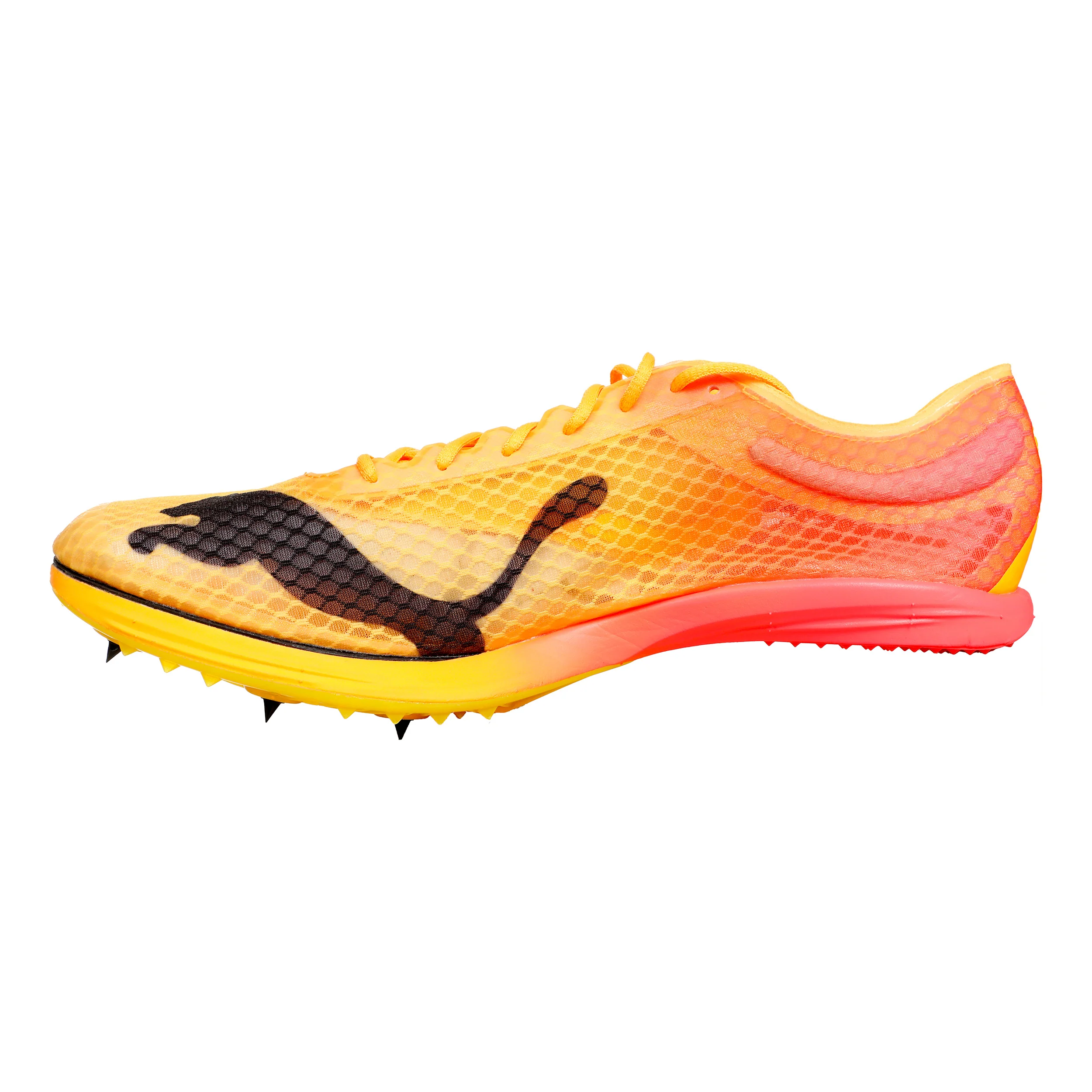 EvoSPEED Distance Nitro Elite+ 2 Spikeschuh-Gelb,Orange - Image 2
