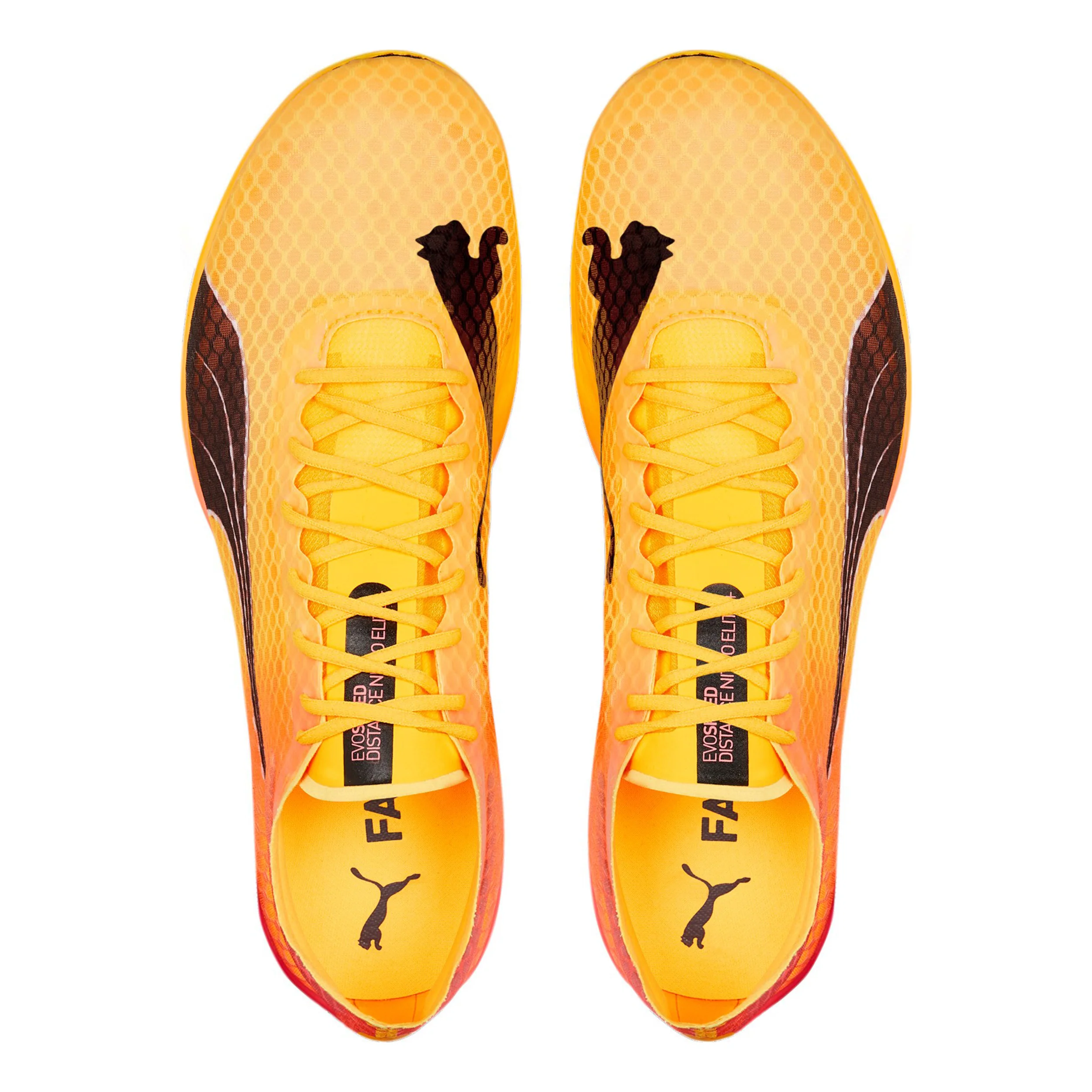 EvoSPEED Distance Nitro Elite+ 2 Spikeschuh-Gelb,Orange - Image 3