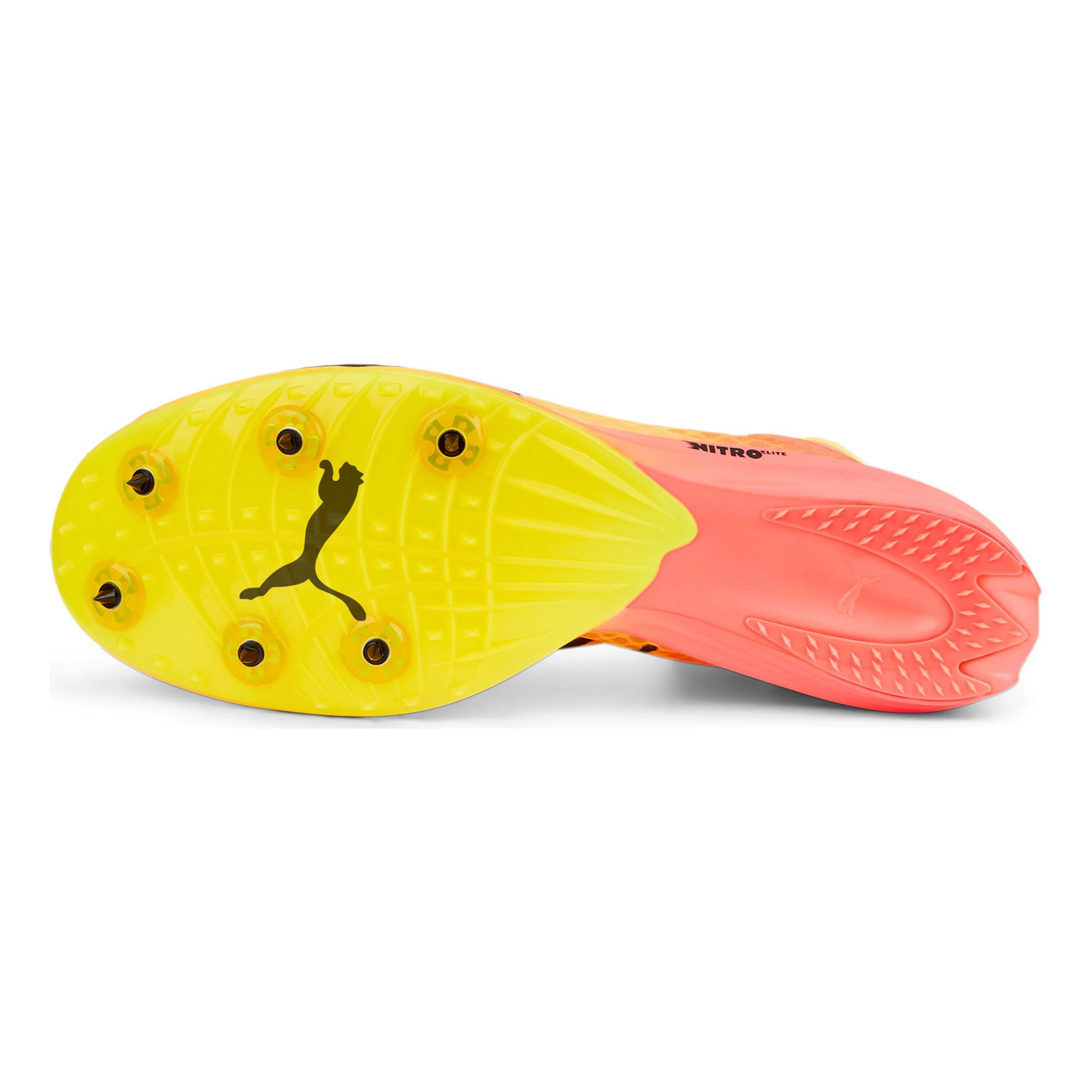 EvoSPEED Distance Nitro Elite+ 2 Spikeschuh-Gelb,Orange - Image 4