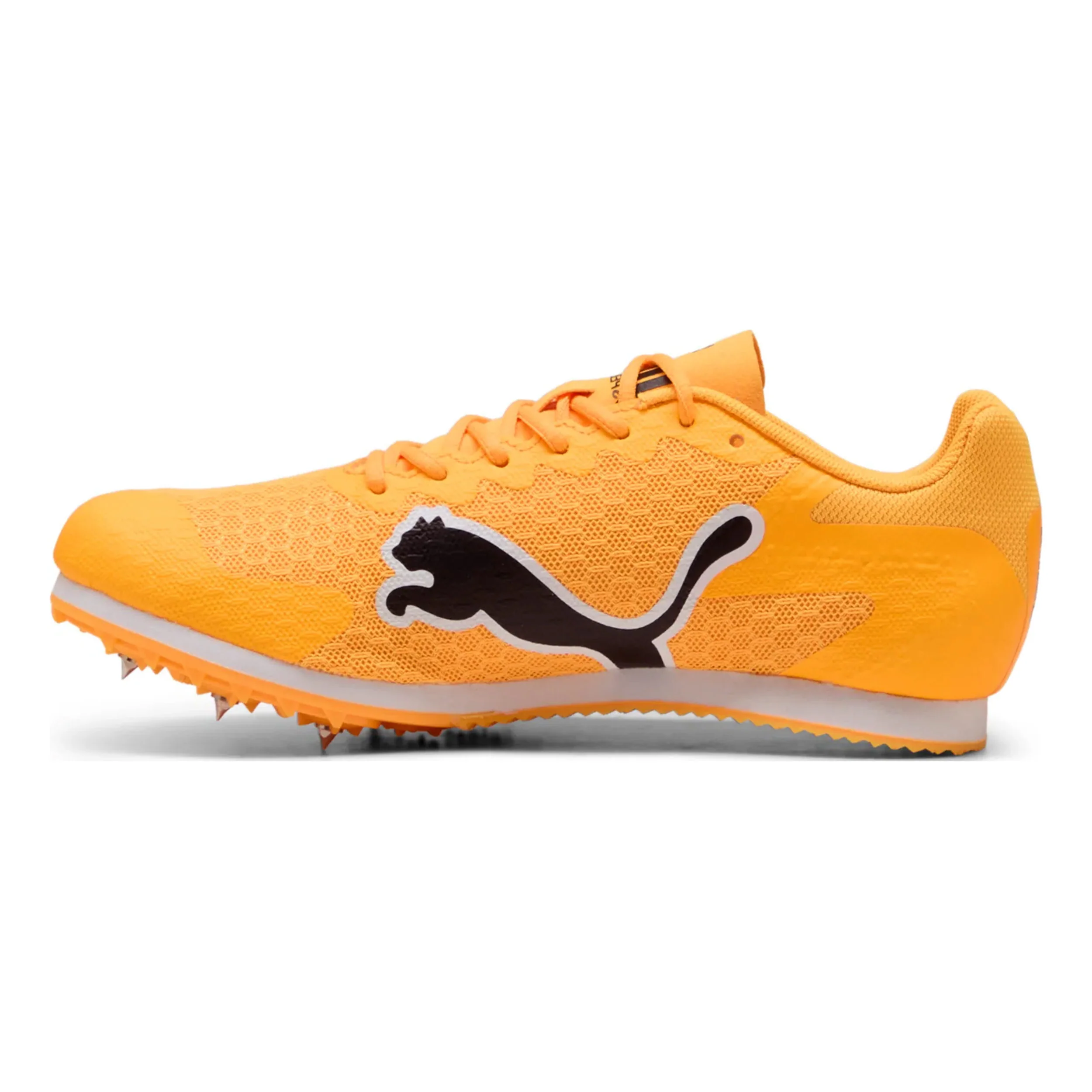 EvoSPEED Star 9 Spikeschuh Kinder-Orange,Schwarz - Image 2